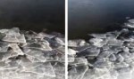 Movie : Crushed Ice