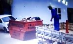 Movie : Kraft in den Pfoten