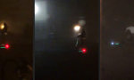 Lustiges Video - Late Night Scooter Girl