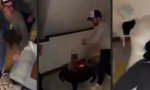Lustiges Video : Betrunkene Synchronisieren