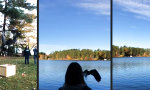 Funny Video : Bis Bald Eagle