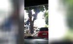 Lustiges Video - Der brasilianische Spiderman