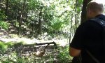 Movie : Der Natur-Barde