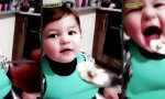 Lustiges Video : Mini Food Ninja