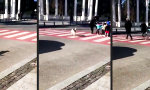 Movie : Wächter des Zebrastreifens
