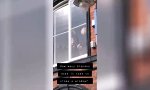 Movie : Die Blondinen und das Fenster