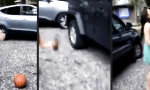 Funny Video : BasketBeerBall