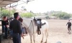 Funny Video - Etwas nachgeholfen