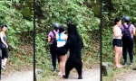 Lustiges Video : Selfie mit dem Schwarzbären