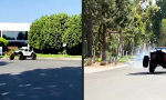 Funny Video - Was ist eigentlich aus Herbie geworden?