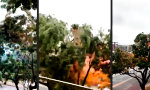 Funny Video : Laserschwertkampf in Baumkrone