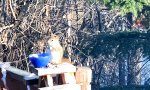 Lustiges Video : Schatz, hast du mein Gras gesehen?
