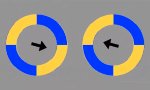 Richtungsweisende Illusion