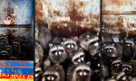 Funny Video - Versammlung im Müllcontainer