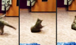 Mieze hat Breakdance entdeckt