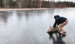 Movie : Reh-Curling?