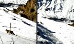 Schneeleopard traut sich nah ran