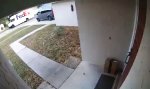 Movie : Korrekter FedEx-Fahrer