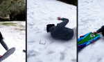 Funny Video : Der Königs-Scorpion