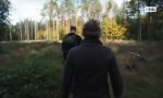 Lustiges Video : Die gef... Walnussbäume