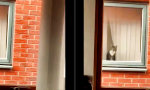 Movie : Langer Hals
