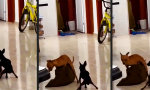 Funny Video - Doppelte Luftnummer