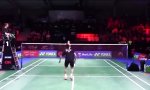 Lustiges Video : Ping jagt Pong