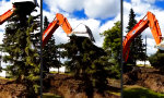Funny Video : Brachialer Baumfalter
