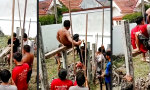 Lustiges Video : Komplettes Vorspiel zum Jump Style Pfösteln
