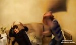 Funny Video - Aufruf zur Kissenschlacht