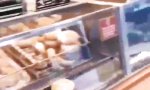 Lustiges Video : Teilchenbeschleuniger