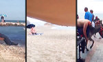 Lustiges Video : Summertime Sadness