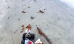 Lustiges Video - Wall-E macht sich nützlich am Strand