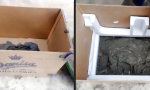 Lustiges Video - Do it yourself