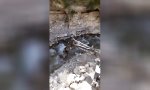 Funny Video - Sommer auf der Baustelle