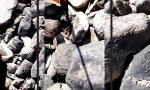 Funny Video : Dude... just let go....
