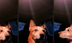 Movie : Nicht vor den Kleinen streiten!