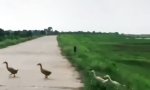 Funny Video : Wenn’s mal wieder länger dauert