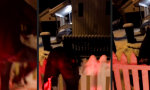 Funny Video : Der Hingk mit dem Zaunpfahl