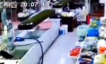 Funny Video : Ruhe im Karton
