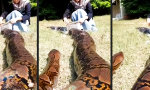 Funny Video : Hautnah dran
