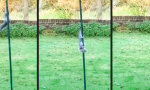 Funny Video - Auf zum Klettergarten