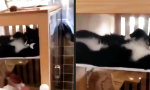 Movie : Der Haus-Boss beim Chillen