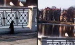 Movie : Eine Möwe stört man nicht beim Chillen