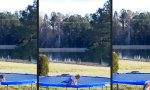 Lustiges Video - Wahre Geschwisterliebe