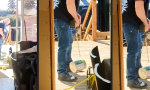 Funny Video : Rotieren statt Rühren