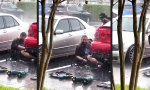 Lustiges Video : Niemals die Laune vermiesen lassen