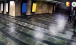 Funny Video - Geduld zahlt sich aus