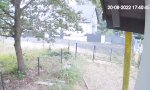 Lustiges Video : Hammerharter Elektrozaun