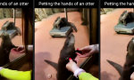 Funny Video - Zauberhafte Massage